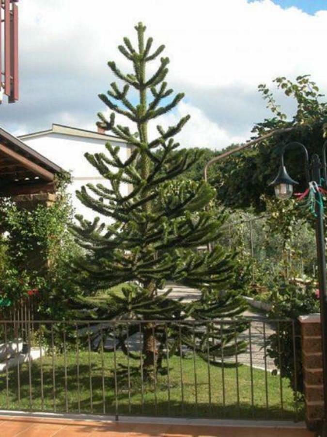La Casa Sull'Aia,Av Bed & Breakfast Santo Stefano del Sole ภายนอก รูปภาพ